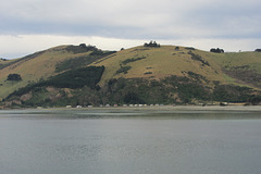 Dunedin, NZ, 19 Jan 2012