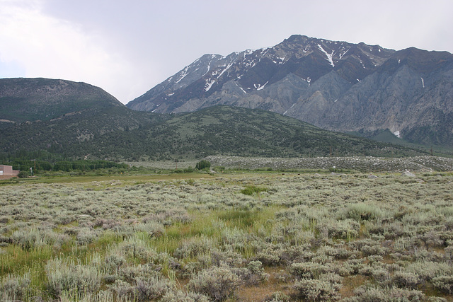 Hilton Creek drainage