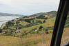 Dunedin, NZ, 19 Jan 2012