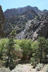 IMG_9610
