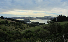 Dunedin, NZ, 19 Jan 2012