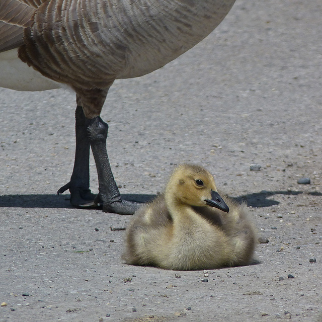 Mom, I need a rest