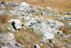 09-SCF_outcrop-9-91_adj