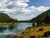 Forgetmenot Pond - one of my favourite places