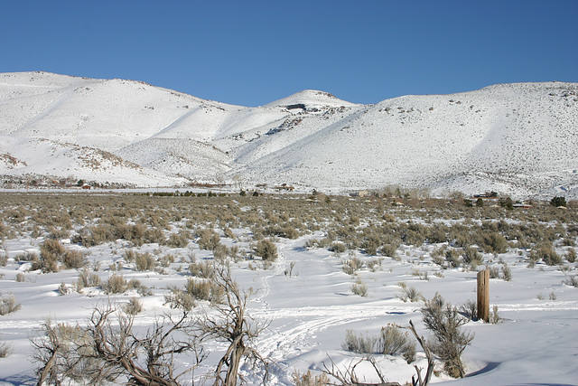 Washoe Valley winter