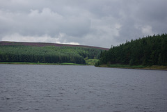 IMGP4980