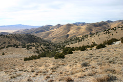 Wildcat Canyon, Seven Troughs Range