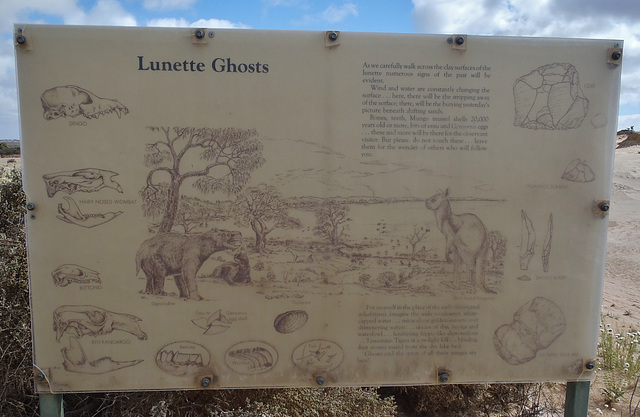 "Lunette Ghosts"