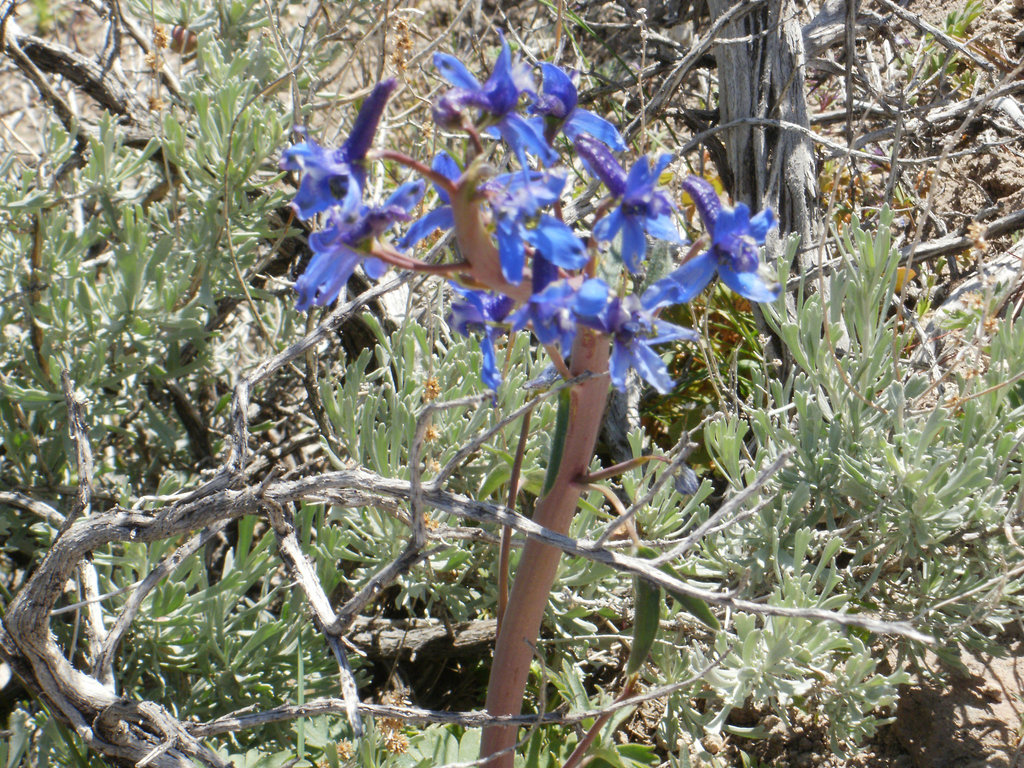 P5090018
