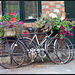 flowering bikes