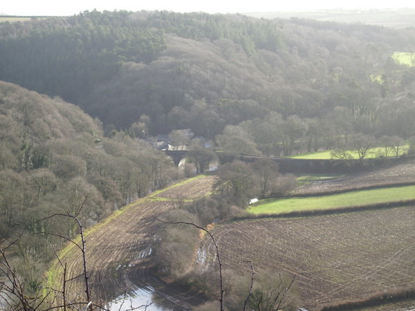 Bushy landscape in Torrington