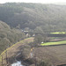 Bushy landscape in Torrington