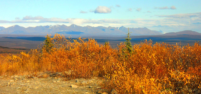 Mountain Autumn