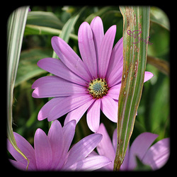 IMG 3644-001 IMG 3644-001