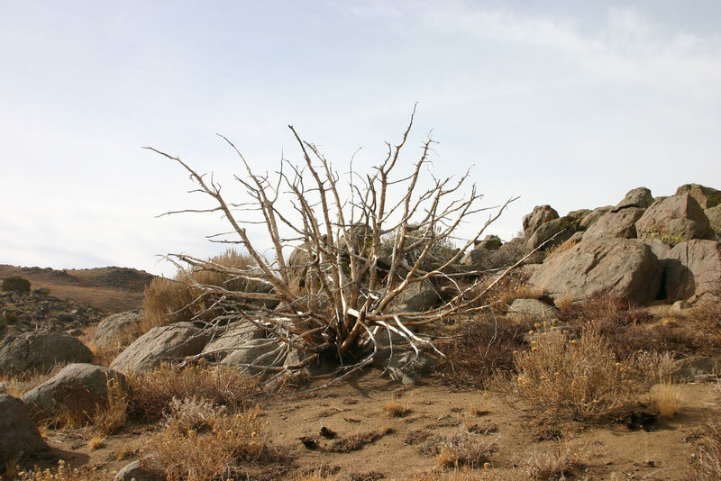 IMG_42061_cleaned