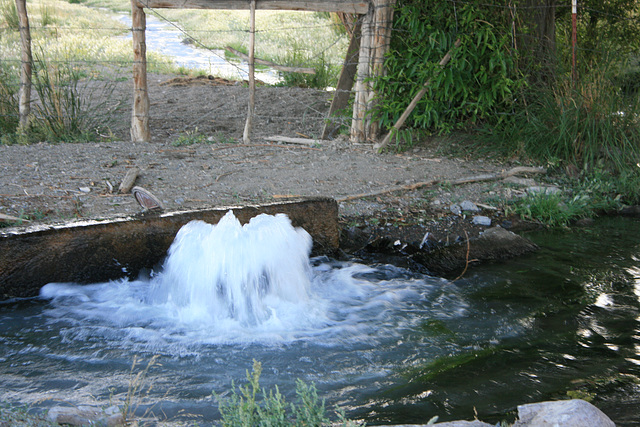 Irrigation fountain