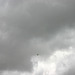 IMG_9857_cleaned