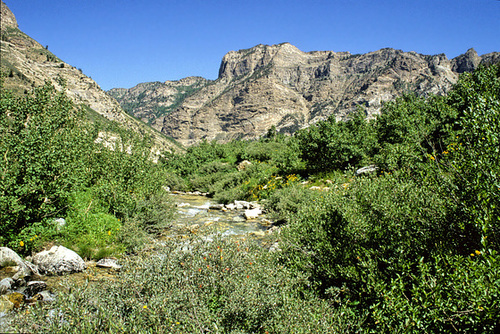 Lamoille Creek