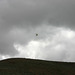 IMG_9859_cleaned