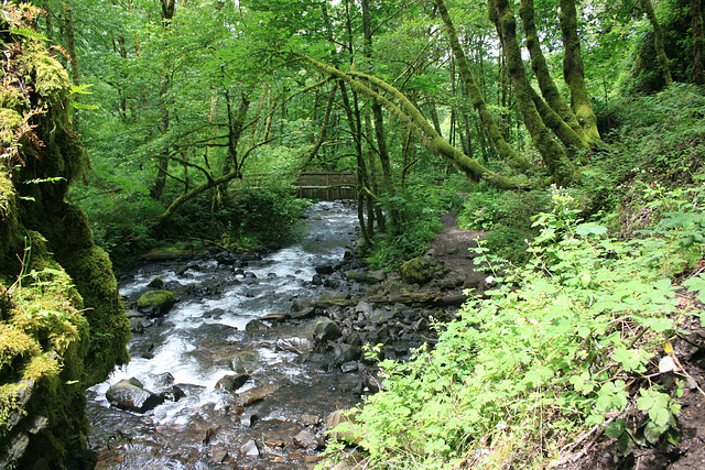 Bridalveil Creek