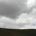 IMG_9862_cleaned