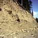 31-lahar-6-85_ig_adj