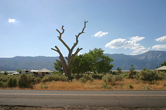 IMG_0725_adj