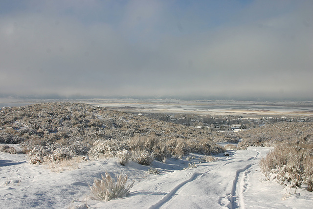 Washoe Valley view