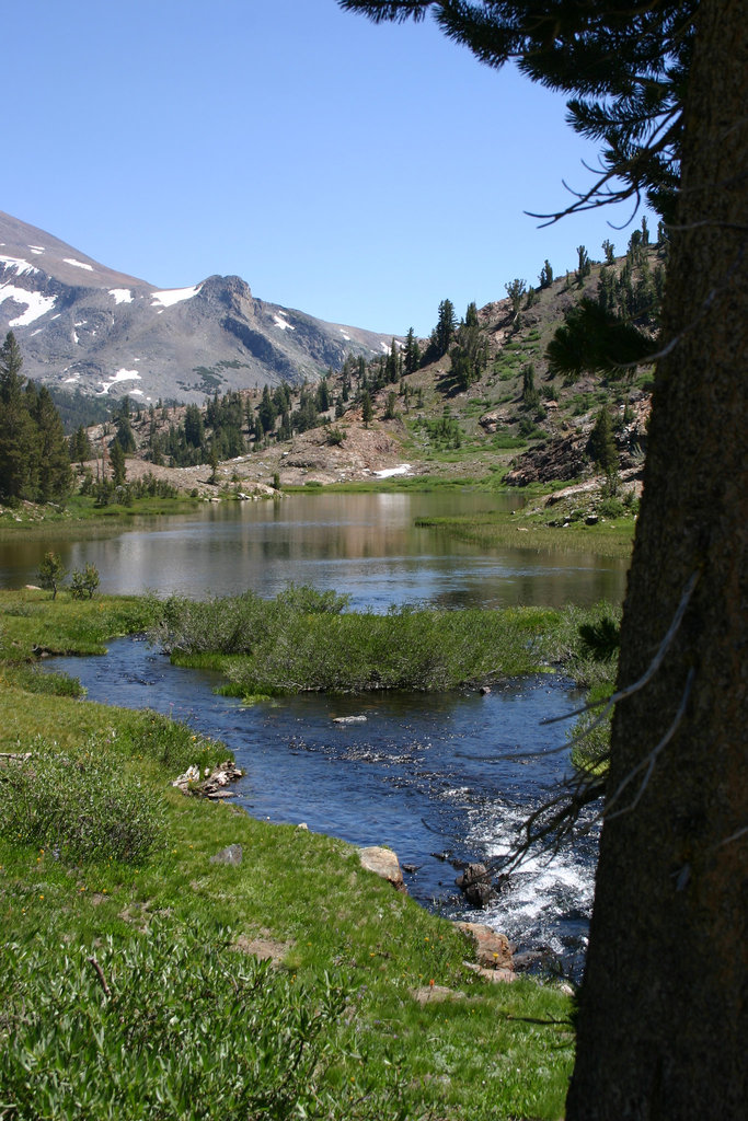 Mine Creek