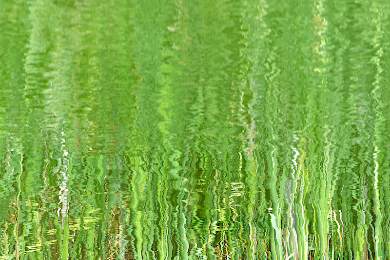 Ripples and reflections