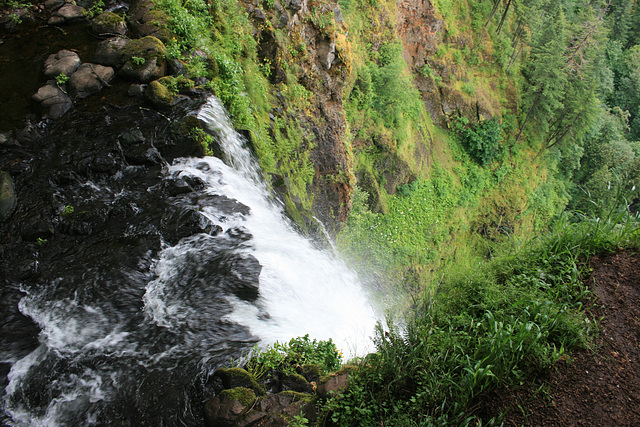 Top of Multnomah Falls