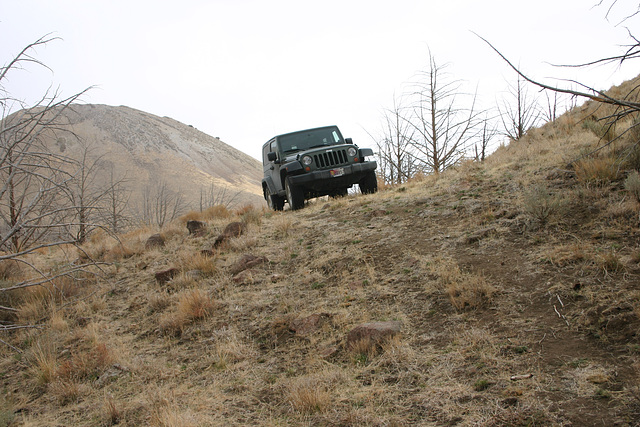 Wrangler in Seven Troughs Range