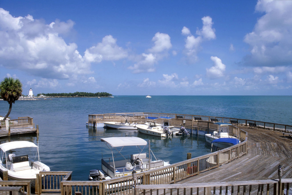 Somewhere off Marathon Key