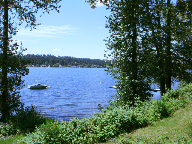 Lake Sammamish