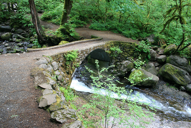 Above Multnomah Falls