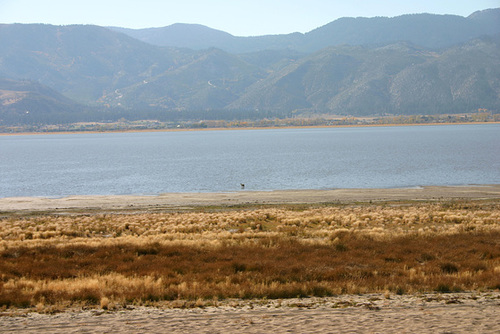 Washoe Lake & Coyote