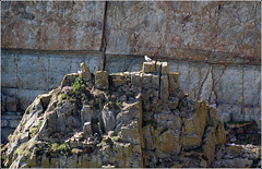 South Stack