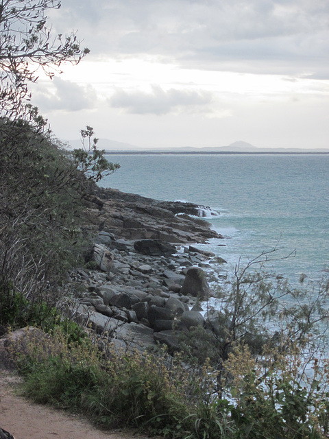 Noosa062013 101