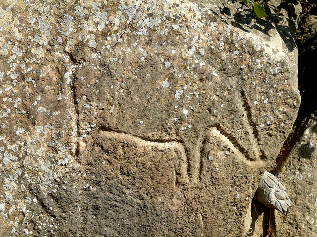 Petroglyph