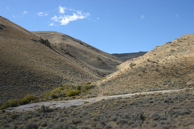 Leadville tailings.