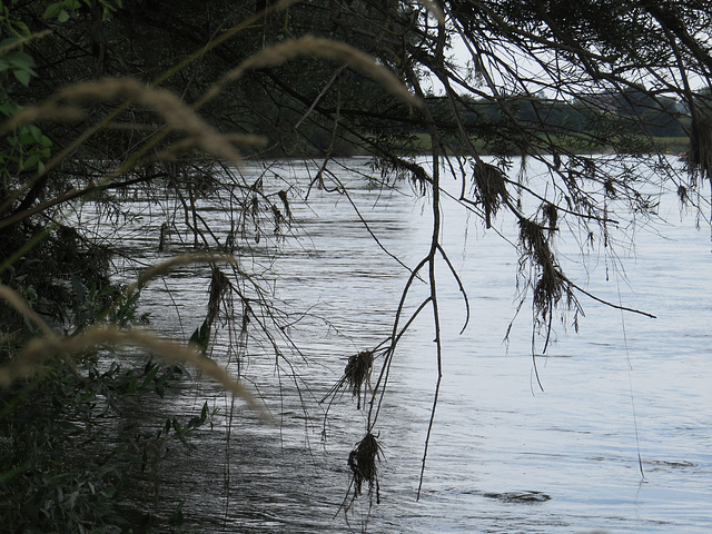 Le Danube entre Eining et Weltenburg