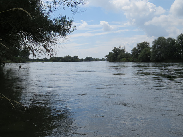 Le Danube entre Eining et Weltenburg, 2