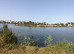 The Ancient Harbor of Carthage, June 2014