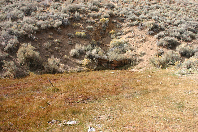 Collapsed Adit, Leadville, Nevada