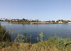 The Ancient Harbor of Carthage, June 2014