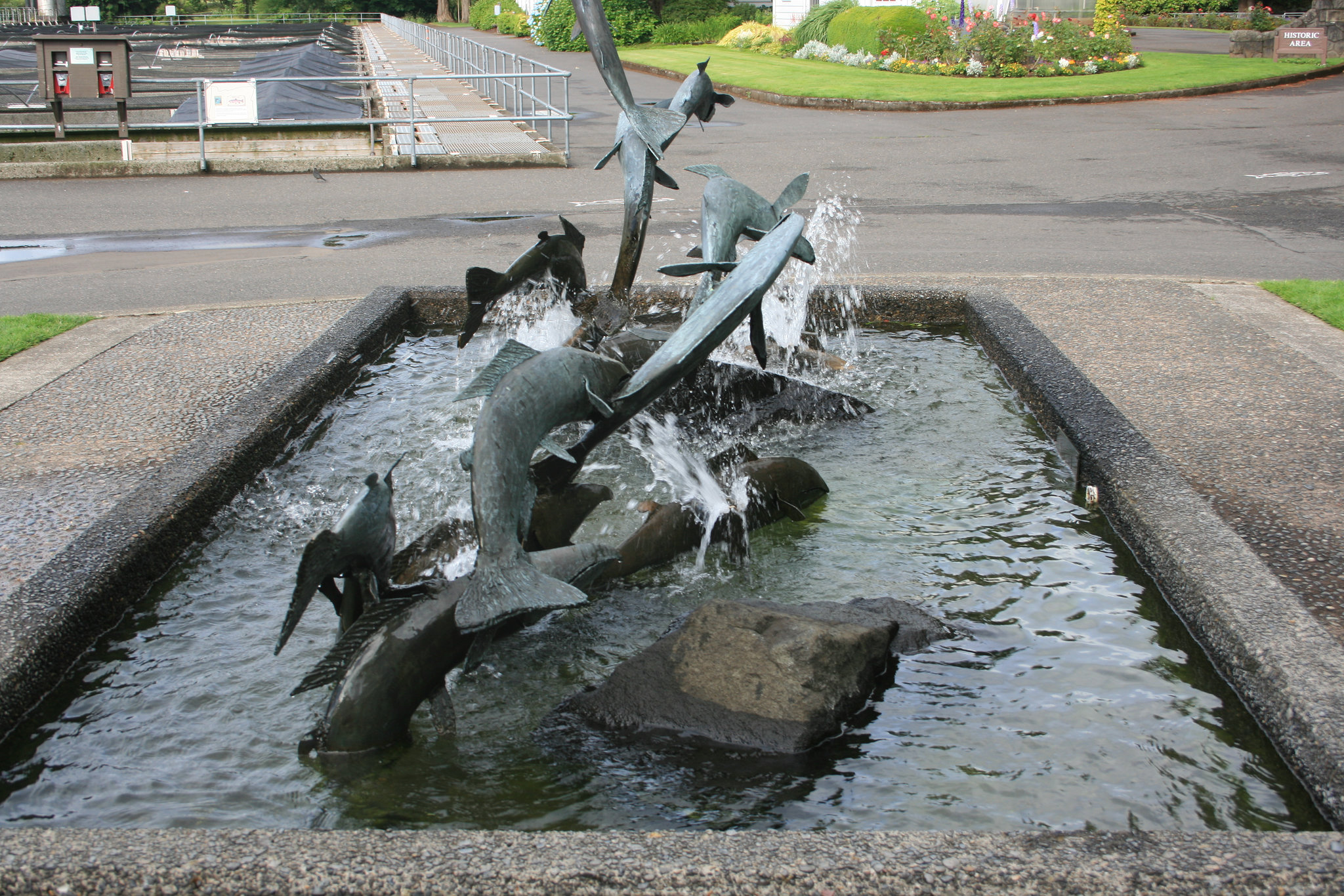 Leaping salmon sculpture