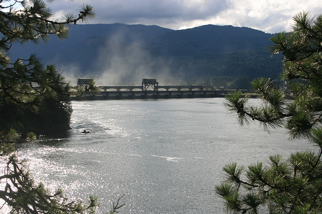 Bonneville Dam