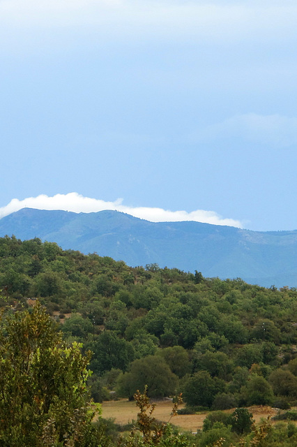 Nous sommes sur le causse de Blandas (notre dernier Causse) (Gard, France)