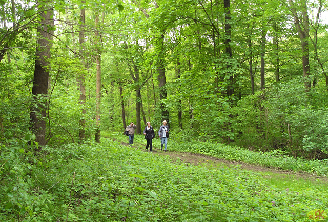 2013-05-11 042 Domholzschänke