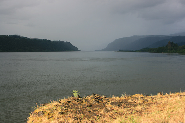 Rain in the Gorge